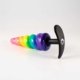Plug Anal Secret Bag - Pride
