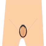 Clip Fufu com Design Anatômico - 10,5cm Sissy - Imagem 7